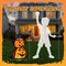 2 Pack 3FT Lighted Jack-O-Lantern Halloween Decorations, Collapsible Pumpkins with 176 Warm LED Lights, Wizard Hats & DIY Capes, Indoor Outdoor Yard Porch Lawn Decor, Foldable & Easy Storage